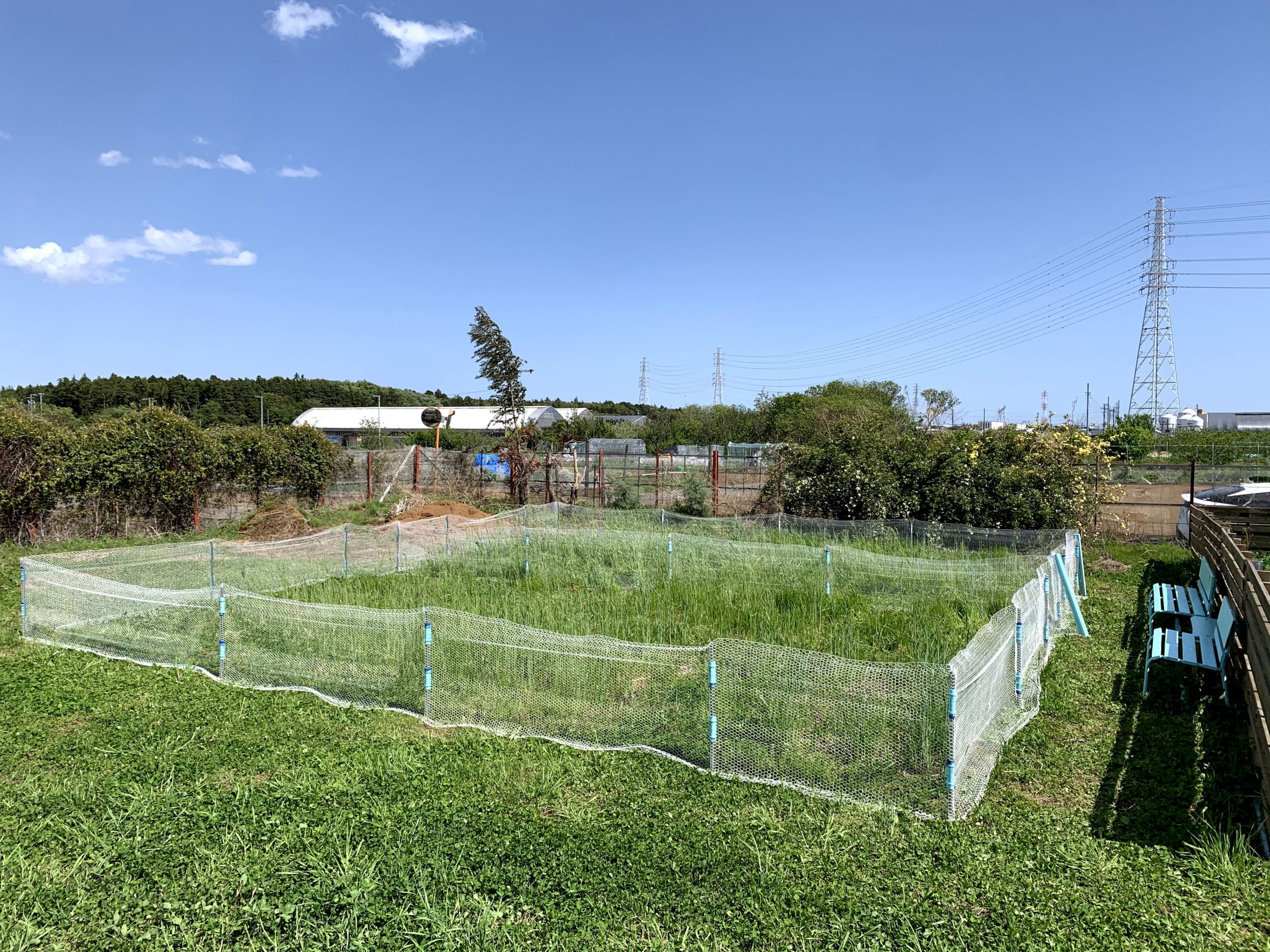 Rabbit Park FUJISAWAの屋外エリア