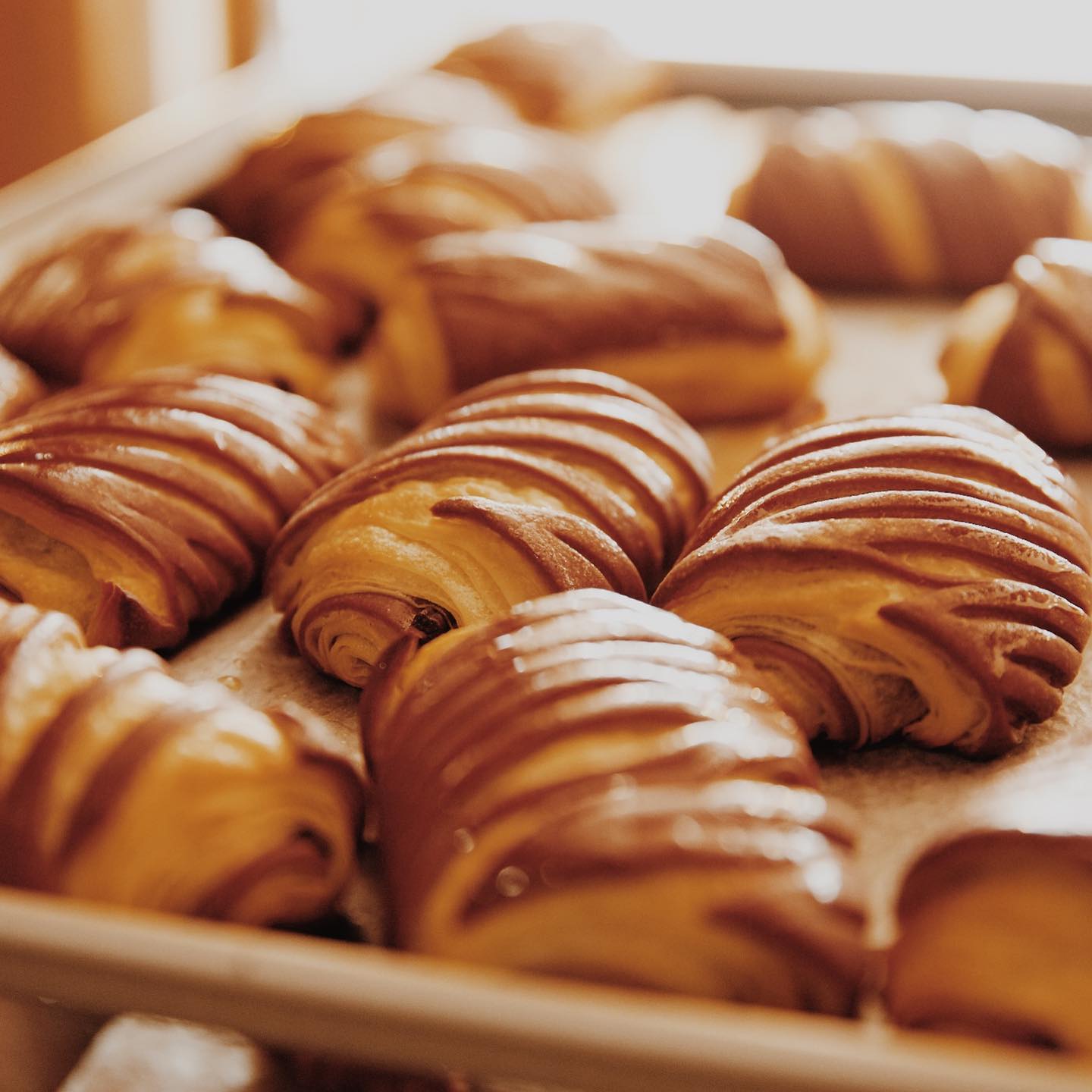 zushi-city-pain-presso-open