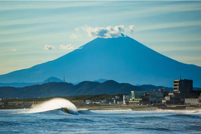 chigasaki-city-support-knot-online-contest