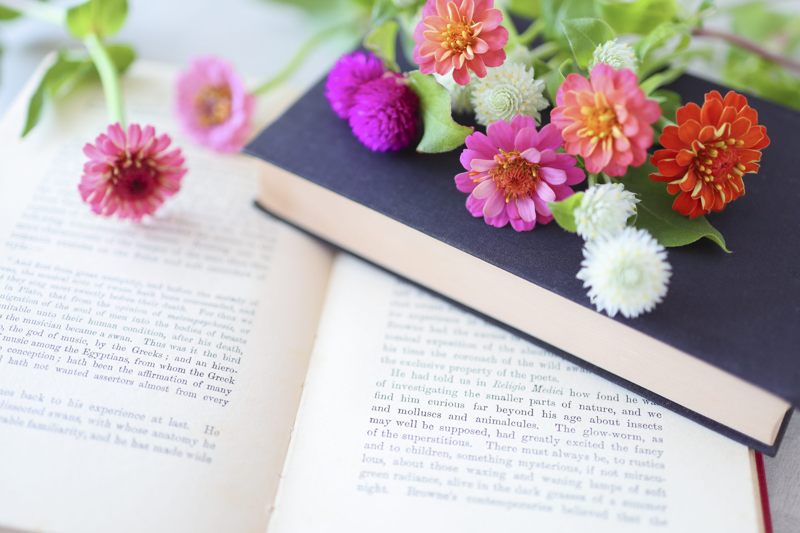 横須賀市立図書館の読書週間