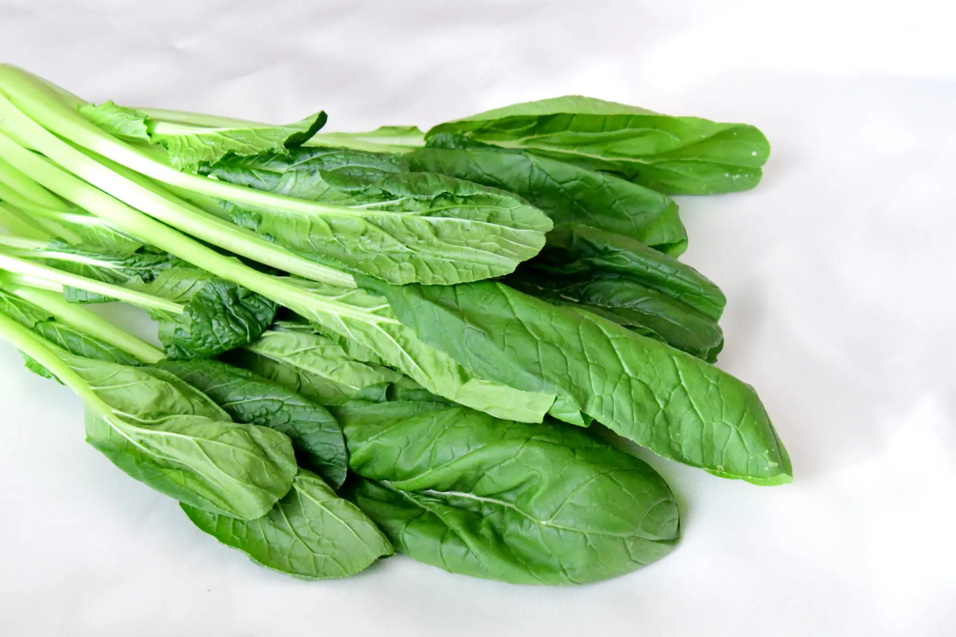 農業体験 小松菜の種まき＆収穫体験