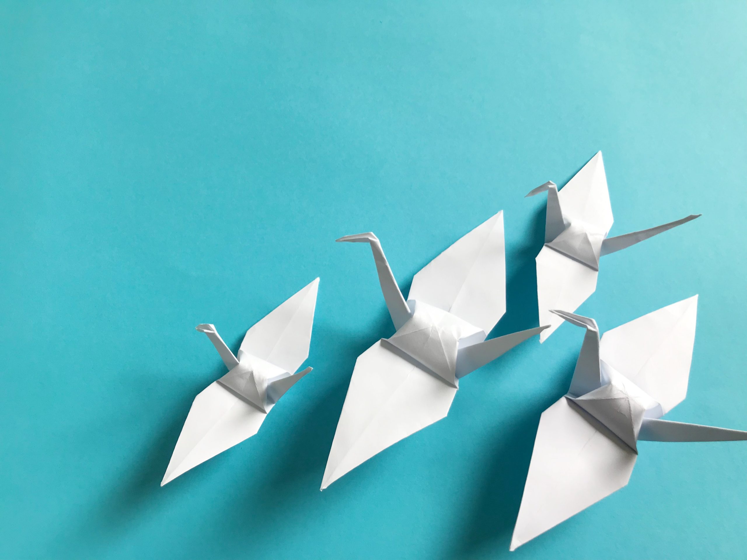 葉山町平和講演会