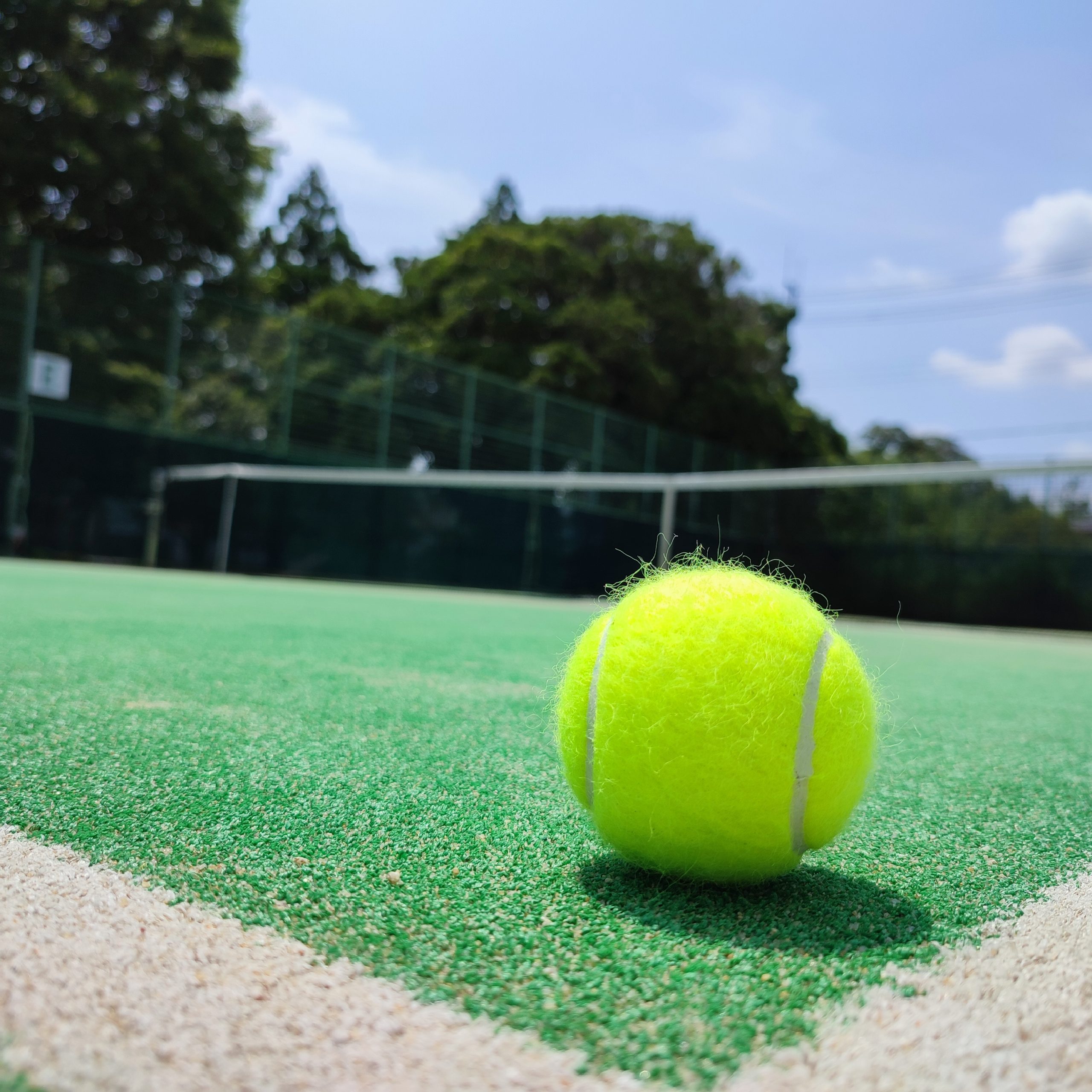 第36回葉山グリーンカップテニス大会