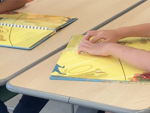 逗子市 触覚を研ぎ澄ましあそぶワークショップの開催日変更の知らせ