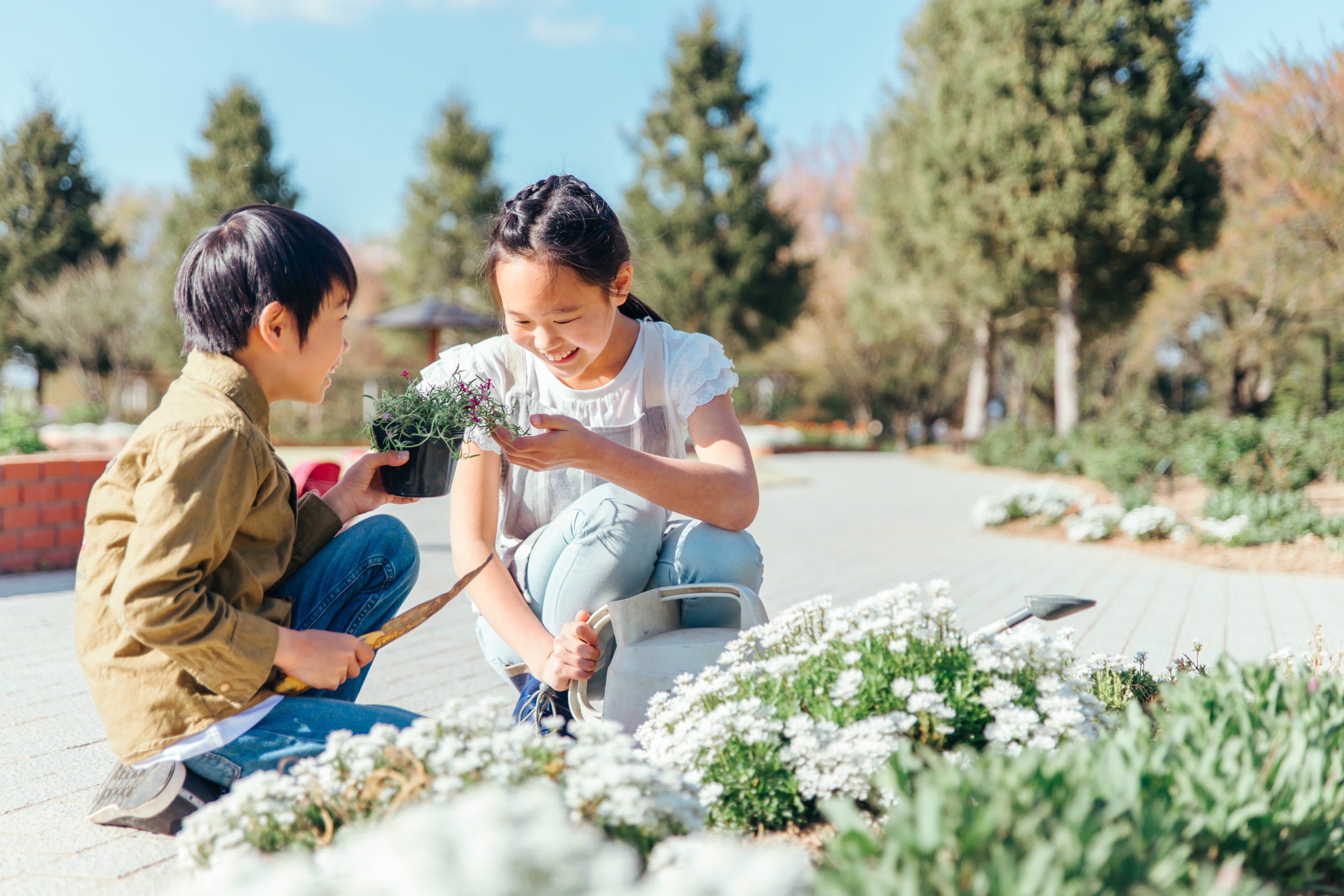 藤沢市 辻堂海浜公園で「たねダンゴを作って、公園に植えよう」を開催