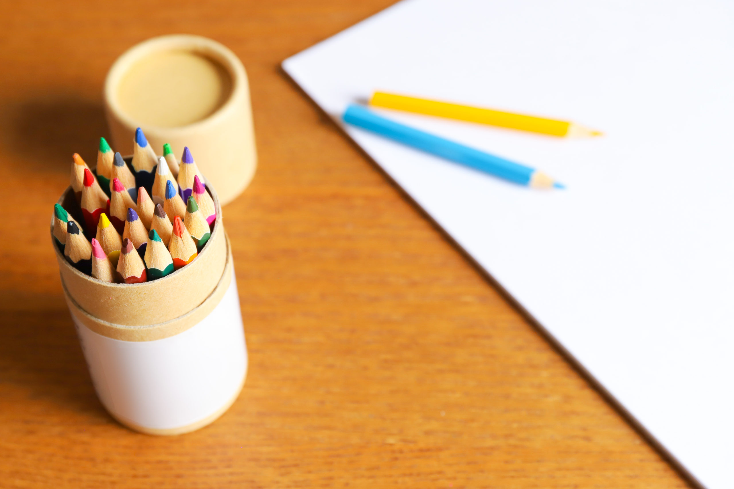 逗子市 沼間コミュニティセンターで、「大人の簡単！えんぴつ画教室」を開催