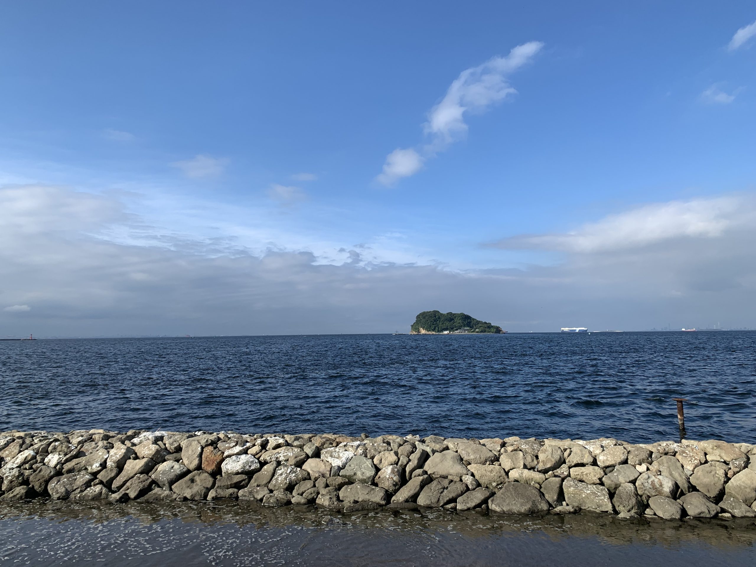 横須賀市 第21回よこすかさかな祭り3年ぶり開催【10月2日(日)】