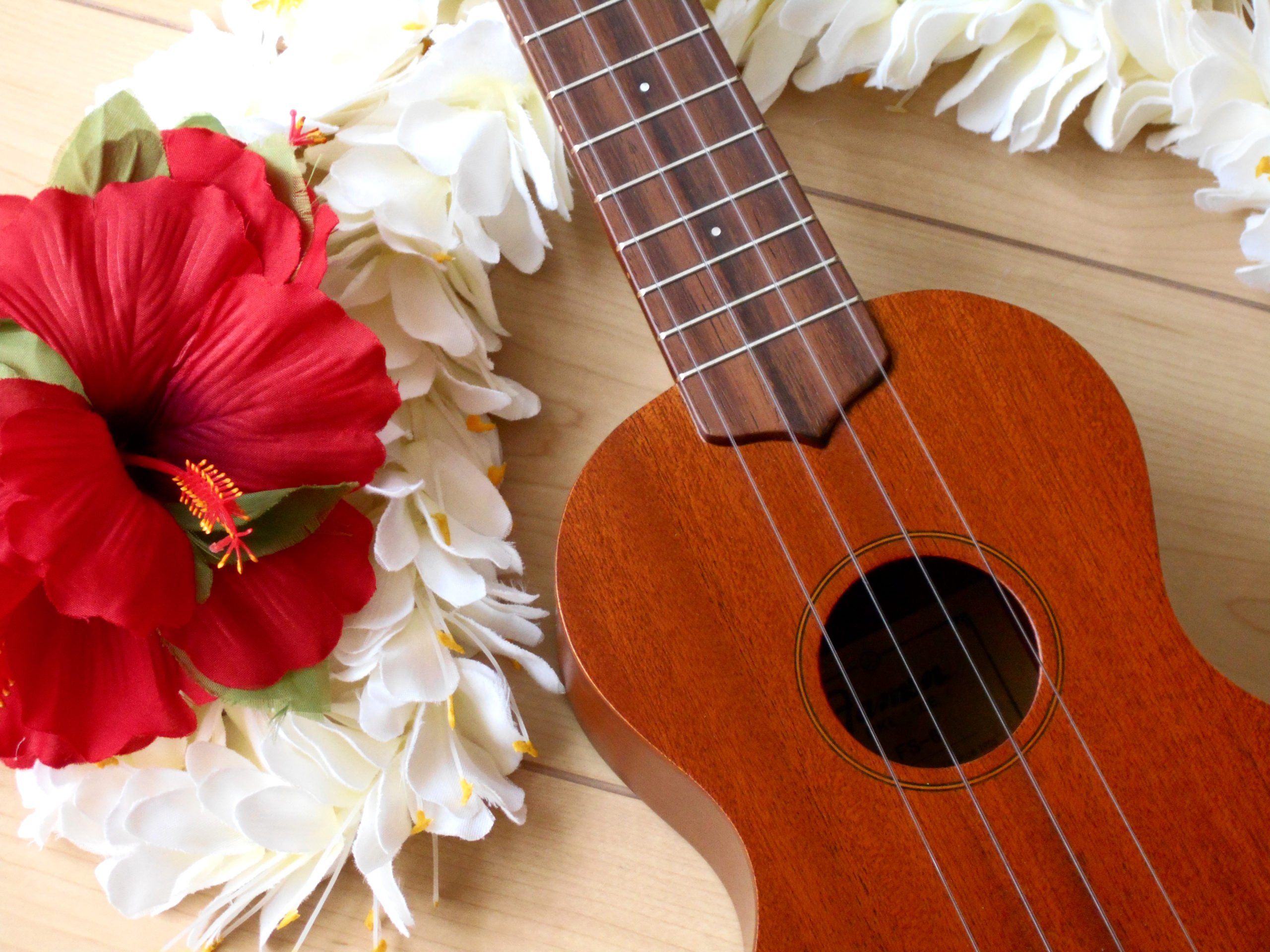 茅ヶ崎市 「ラスカ茅ヶ崎」7Fの屋上庭園で「HAWAIIAN Weekend Live」を開催