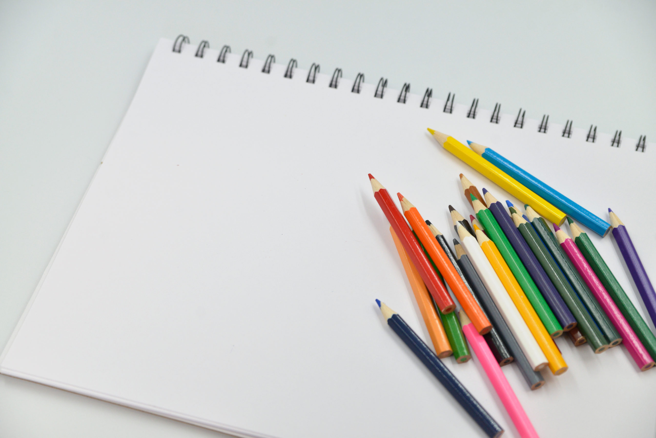 逗子市 令和４年度 沼間コミュニティセンター出張講座 「大人の簡単！えんぴつ画教室」【10月14日(金)、21日(金)】