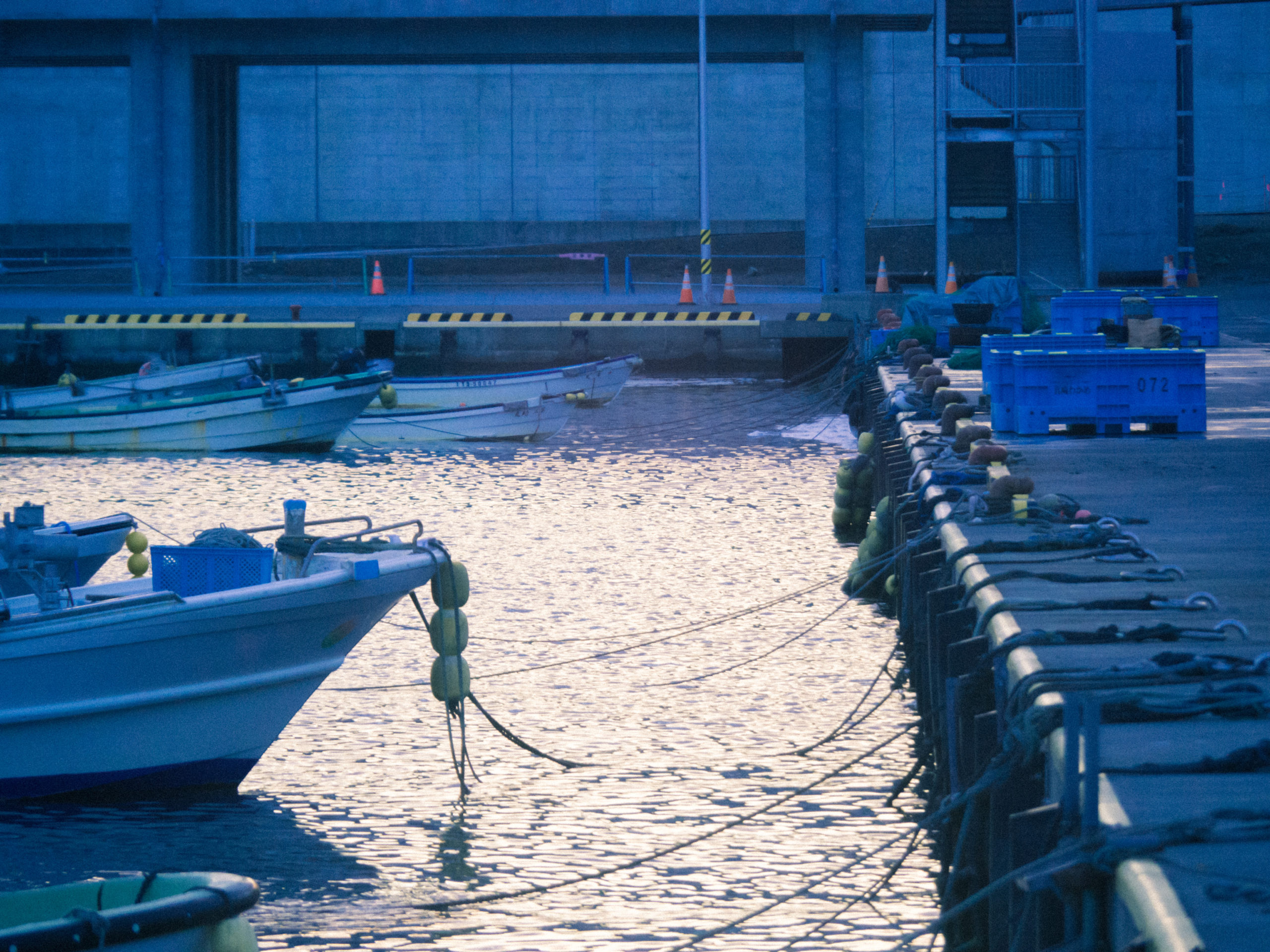 茅ヶ崎市 「さかなの市」を開催します！【10月18日(火)】