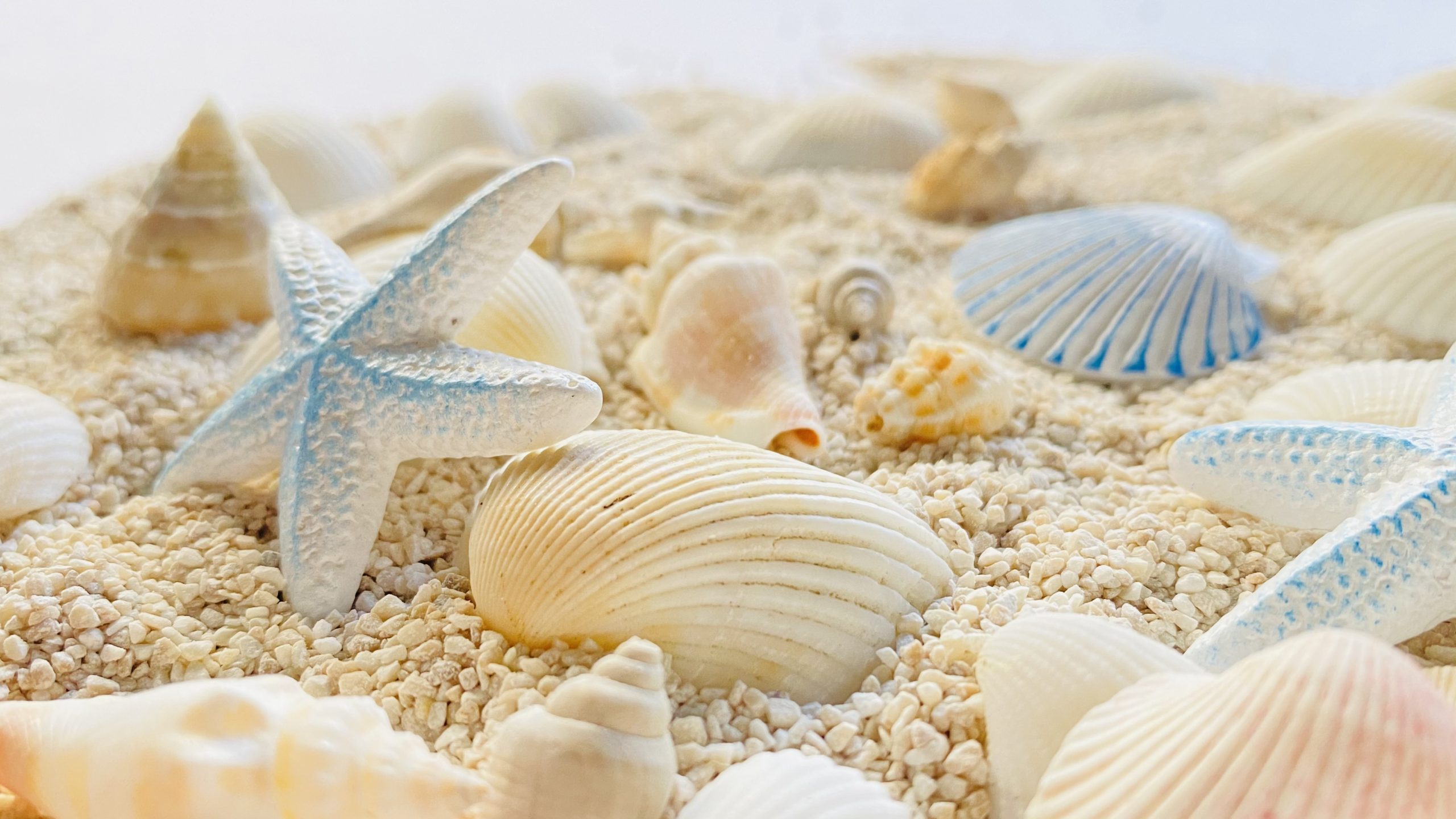 藤沢市 体験学習プログラム「 秋だ！祭りだ！ecoまつり！」開催【10月8日(土)～10日(月、祝)】