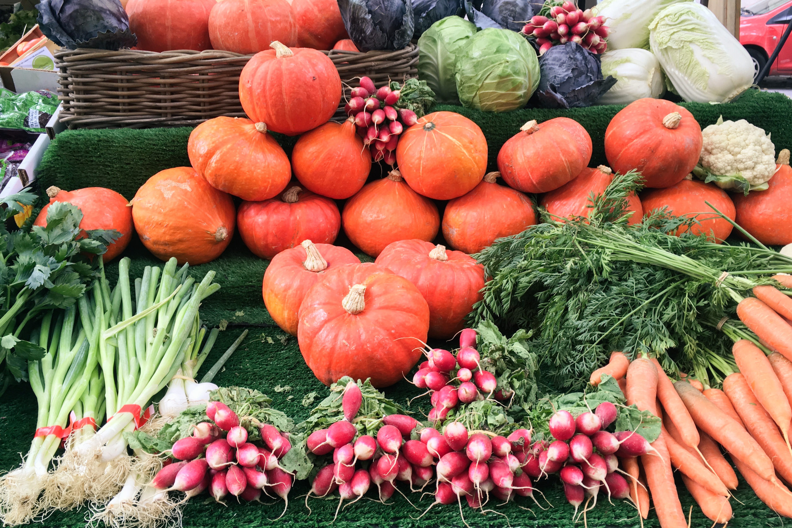 藤沢市 辻堂海浜公園で「Tsujido Local Market」を開催