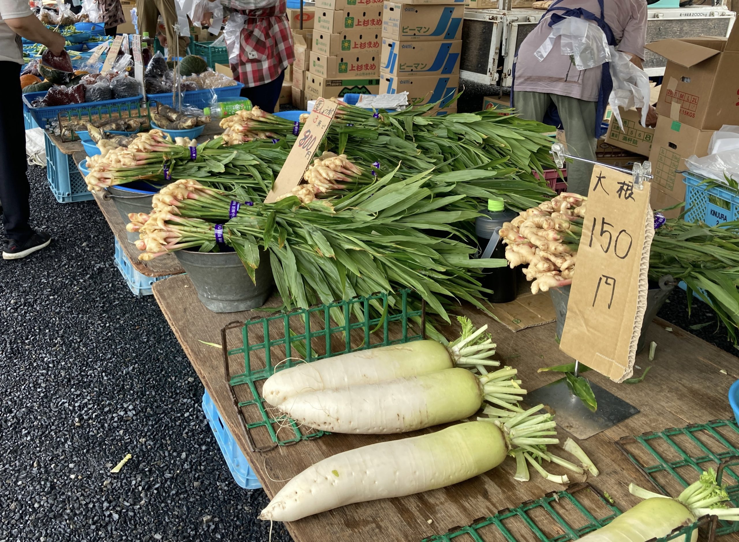 茅ヶ崎市 市役所前広場で、茅ヶ崎産農産物の直売会を開催