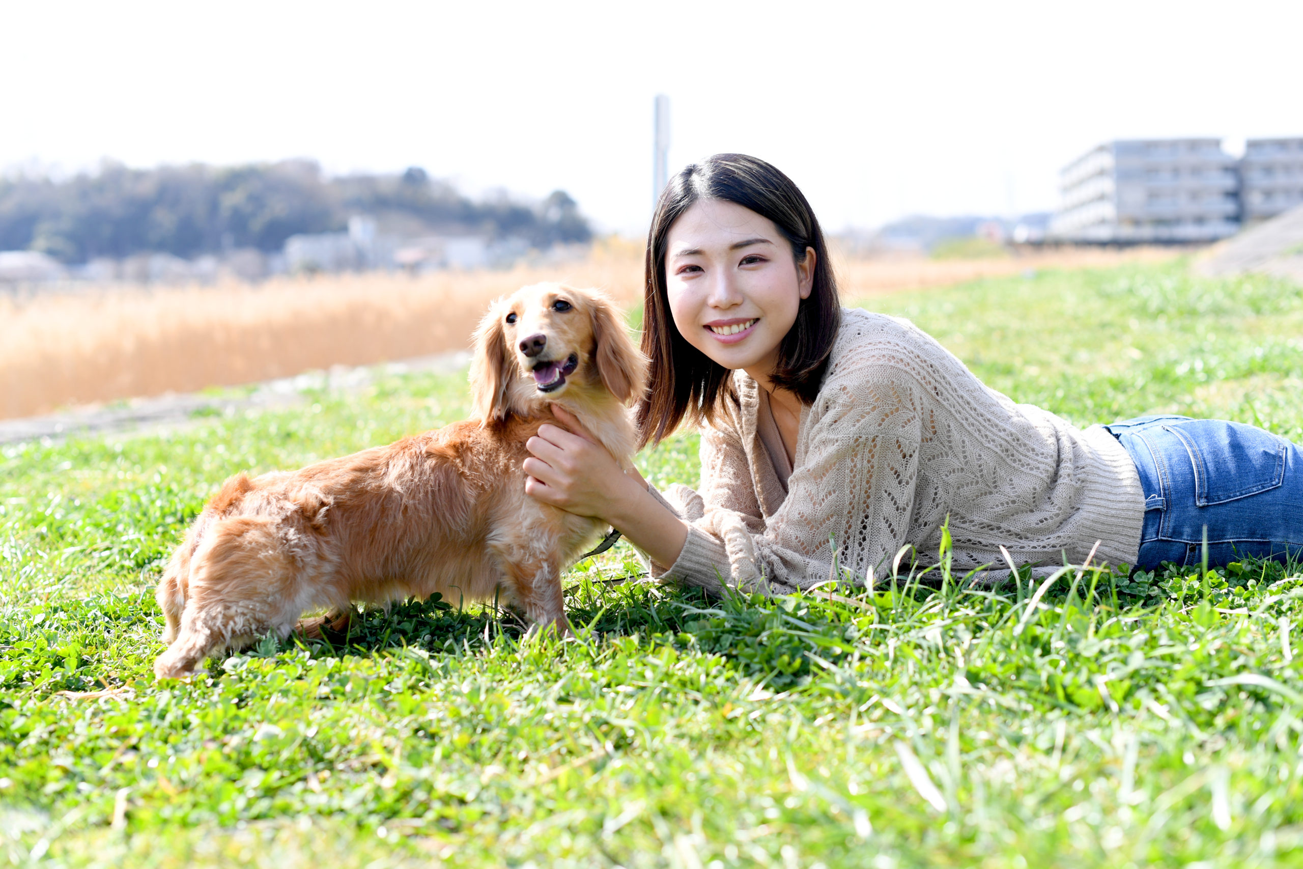 藤沢市 「HUG ANIMALS vol.8」開催【10月29日(土)、30日(日)】