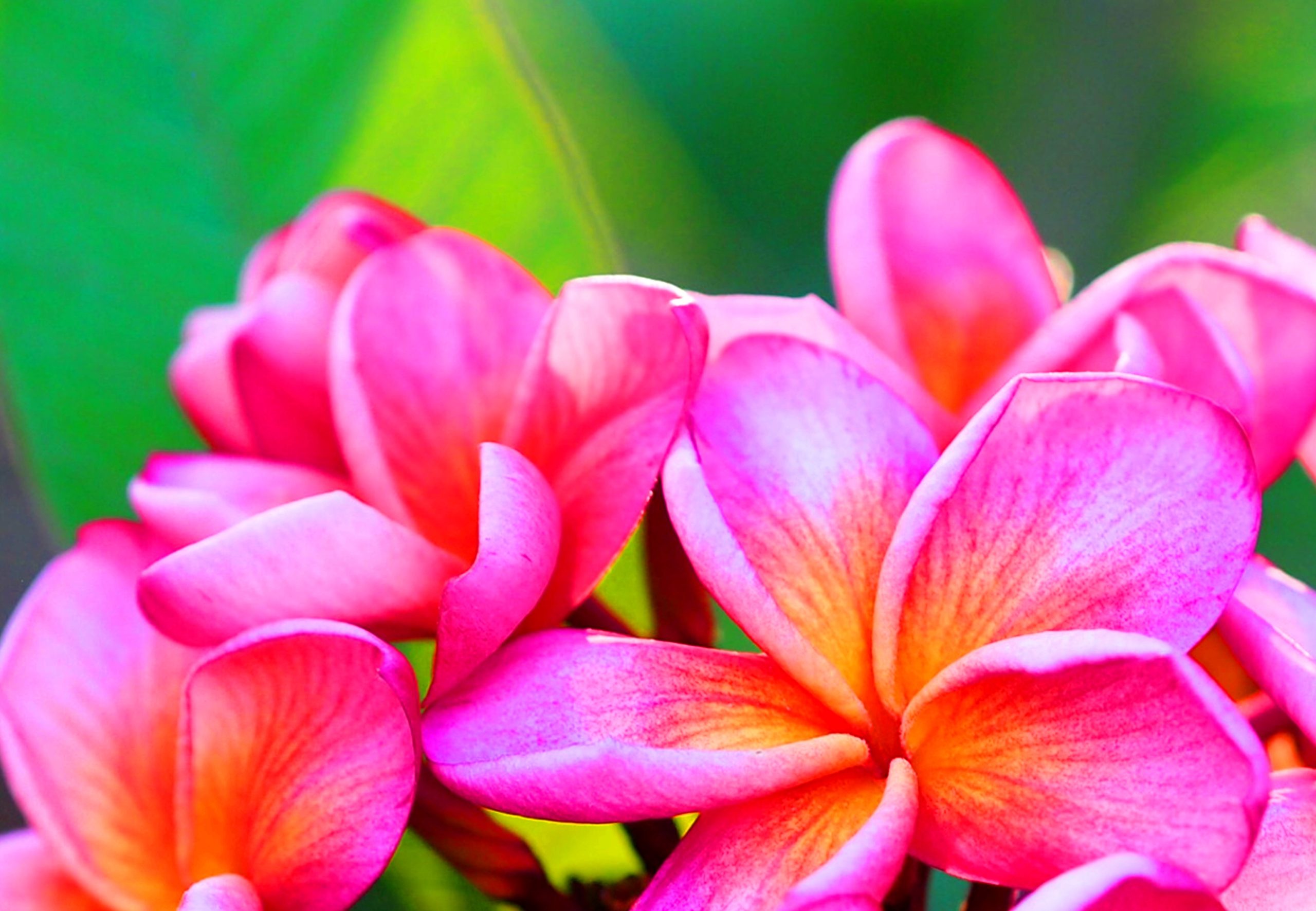 藤沢市 【トーク】「海のある暮らし from インドネシア・バリ島」【10月30日(日)】