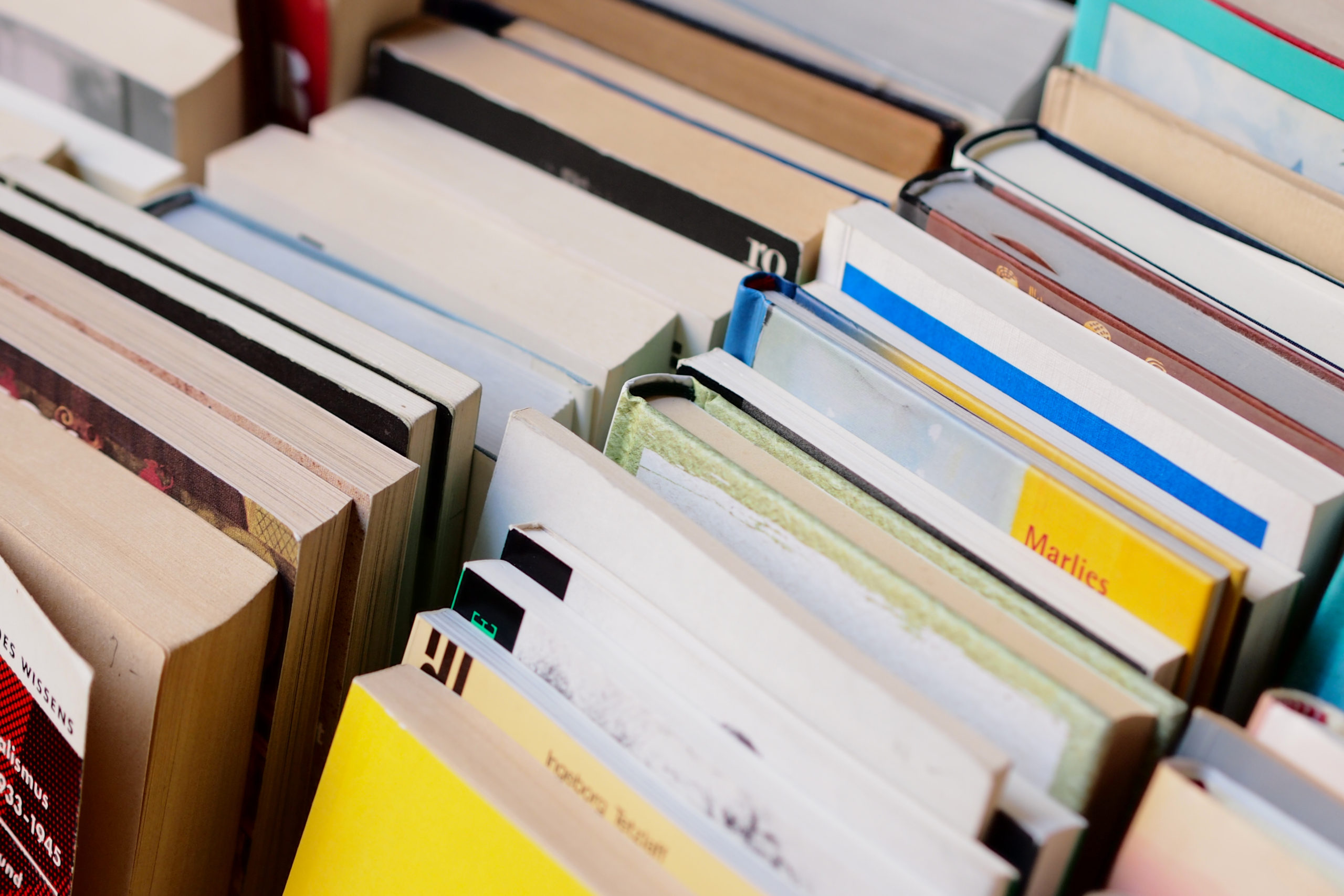 二宮町 東京大学果樹園跡地で「協議会祭り」を開催