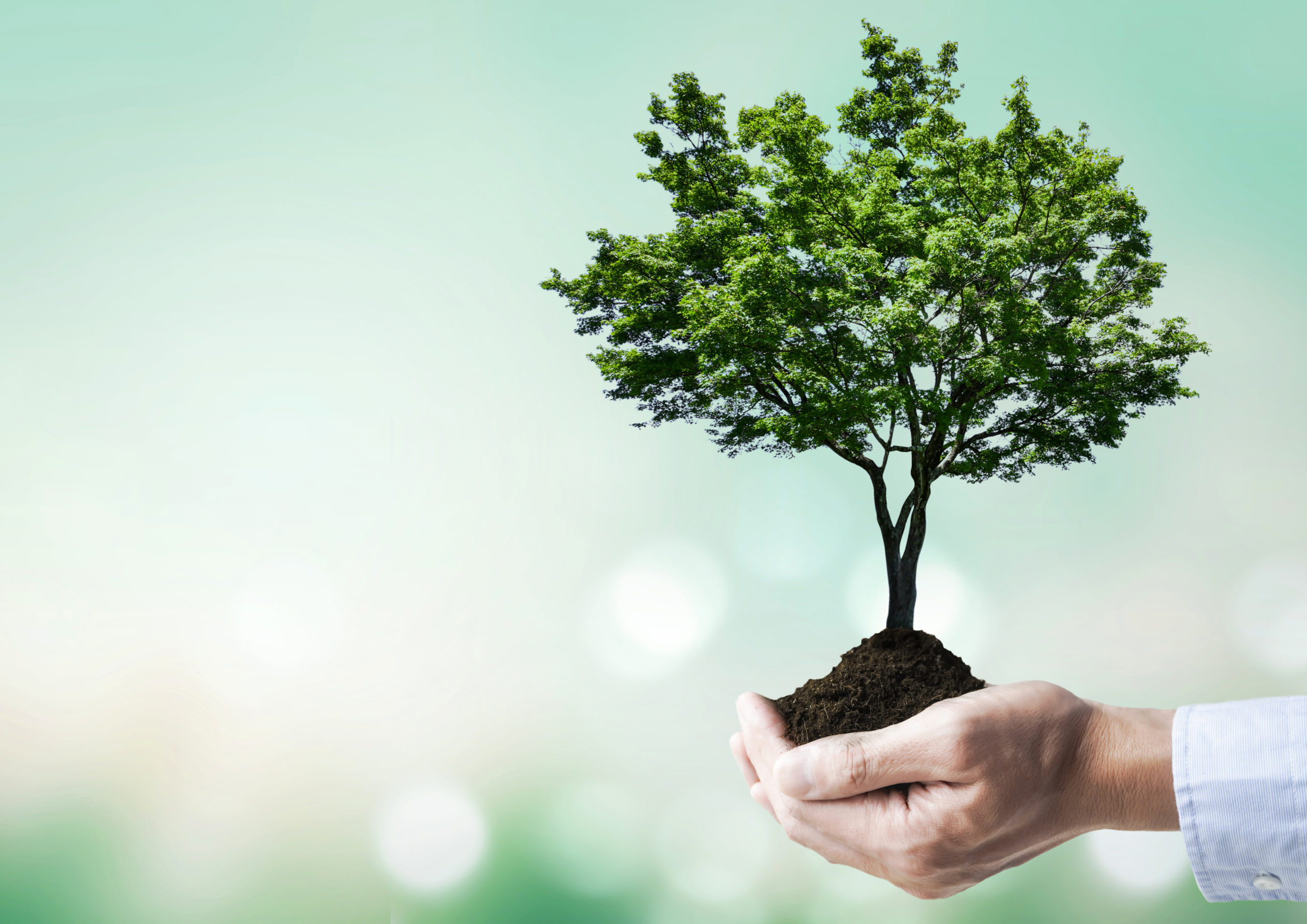 藤沢市 「第25回ふじさわ環境フェア Eco2まつり2022」を開催します！【11月26日(土)】