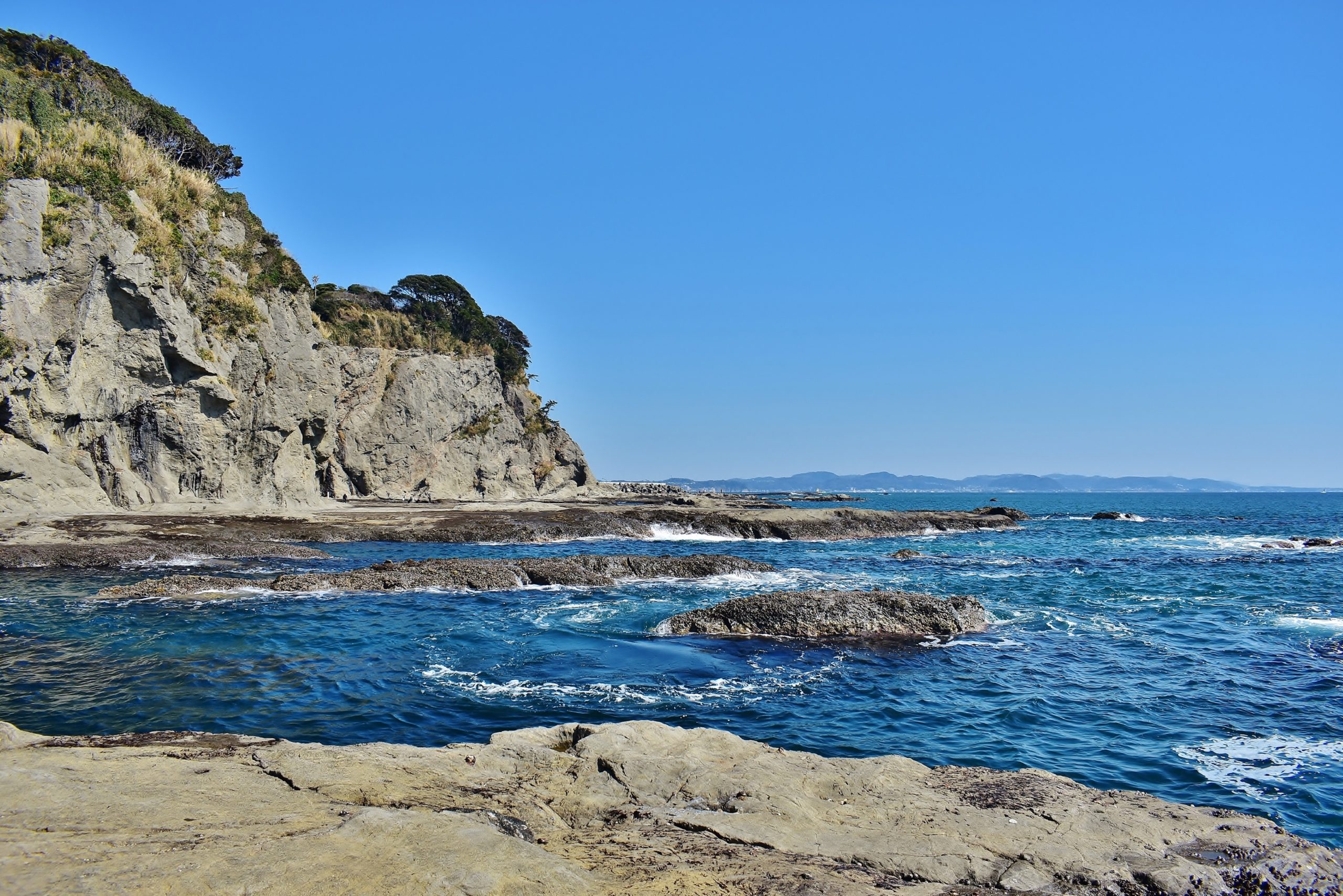 藤沢市 体験学習プログラム 「水中ドローン潜航調査ライブ中継～江の島沖編～ Vol.2」開催【11月26日(土)】