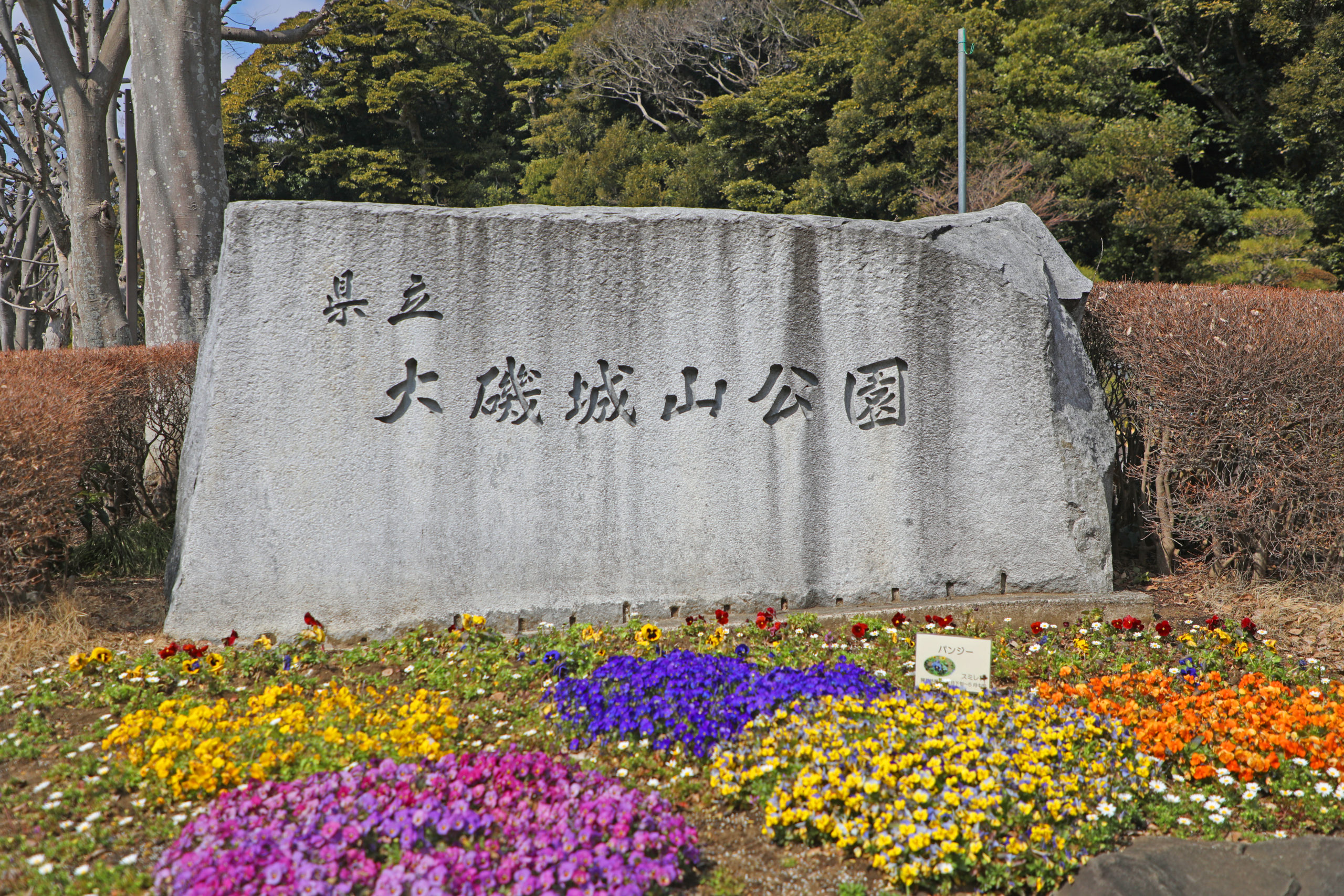 大磯町 秋季企画展「島崎藤村と大磯を愛した文人たち」【10月22日(土)～12月11日(日)】