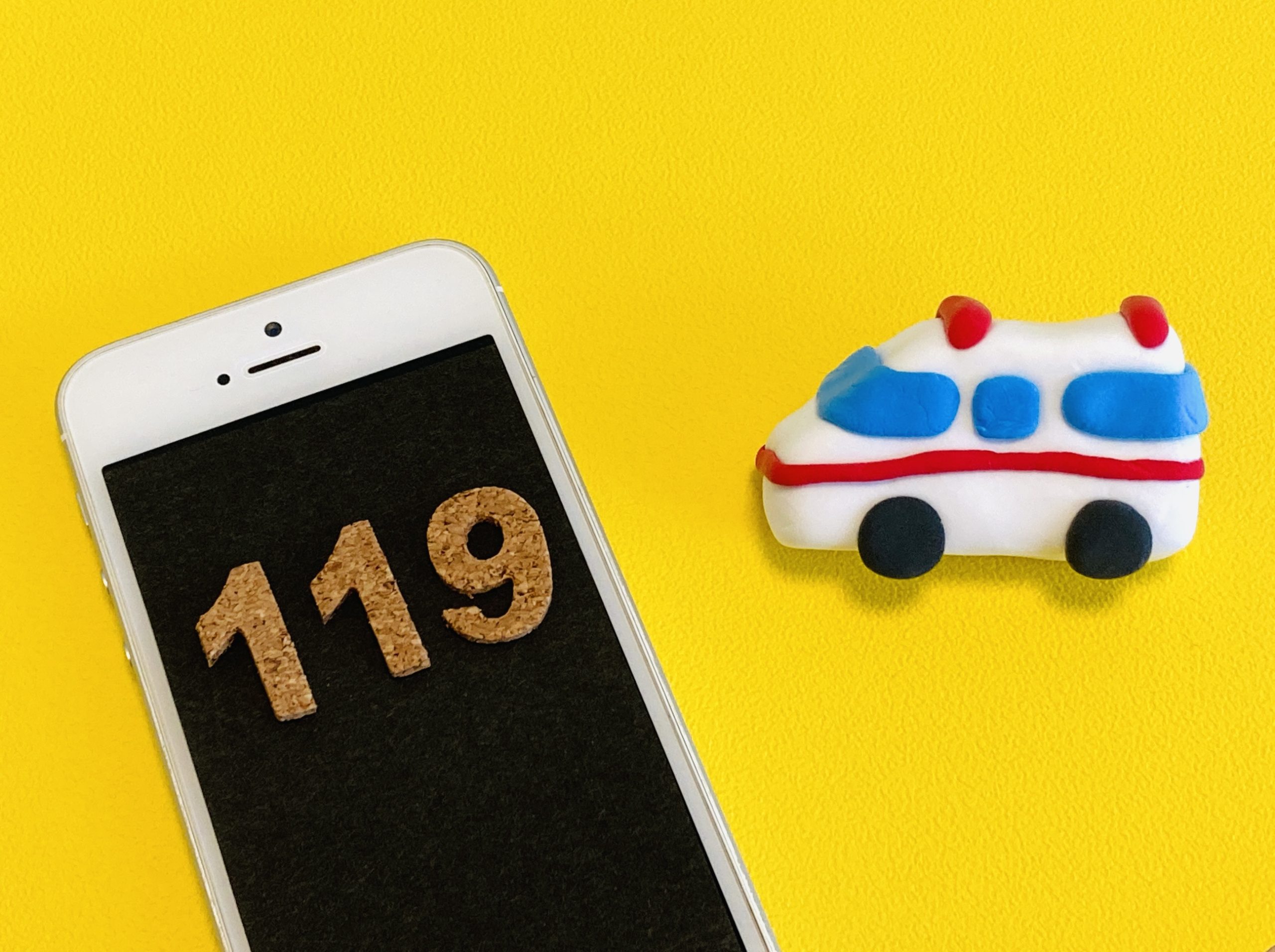 茅ヶ崎市 市役所で、NET119（ネット119）緊急通報システム登録説明会を開催