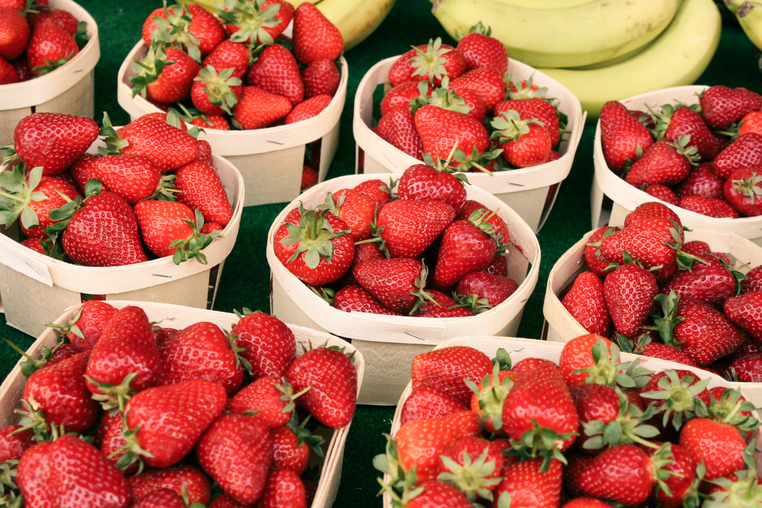 平塚市 第10回大門市開催【11月27日(日)】