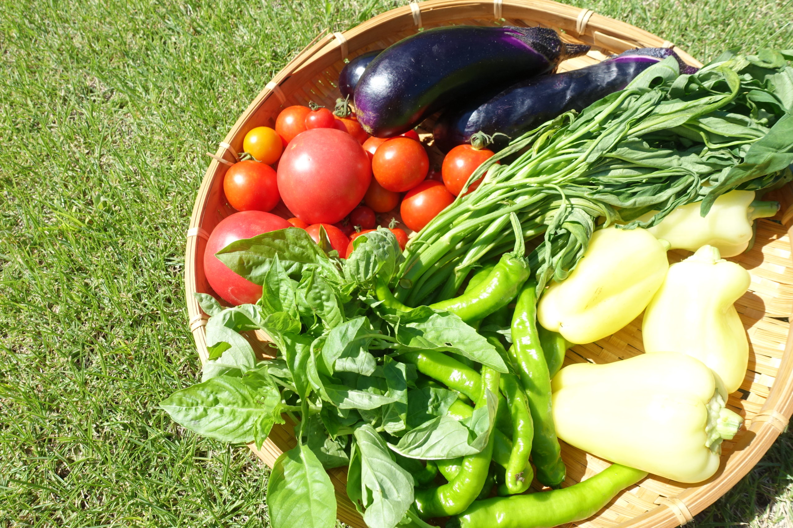 藤沢市 辻堂青少年会館「つじせいキッチン」お知らせ【12月17日(土)】