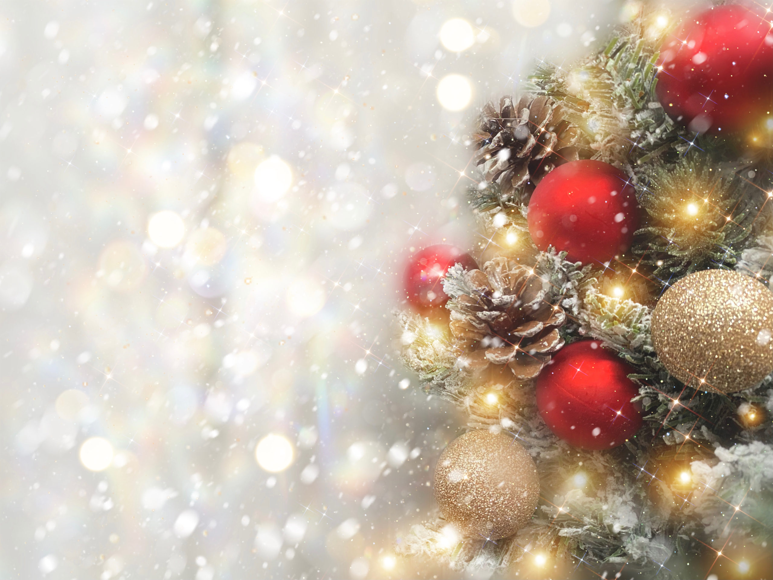 藤沢市 「松ぼっくりでつくるクリスマスオーナメント」【12月10日(土)】