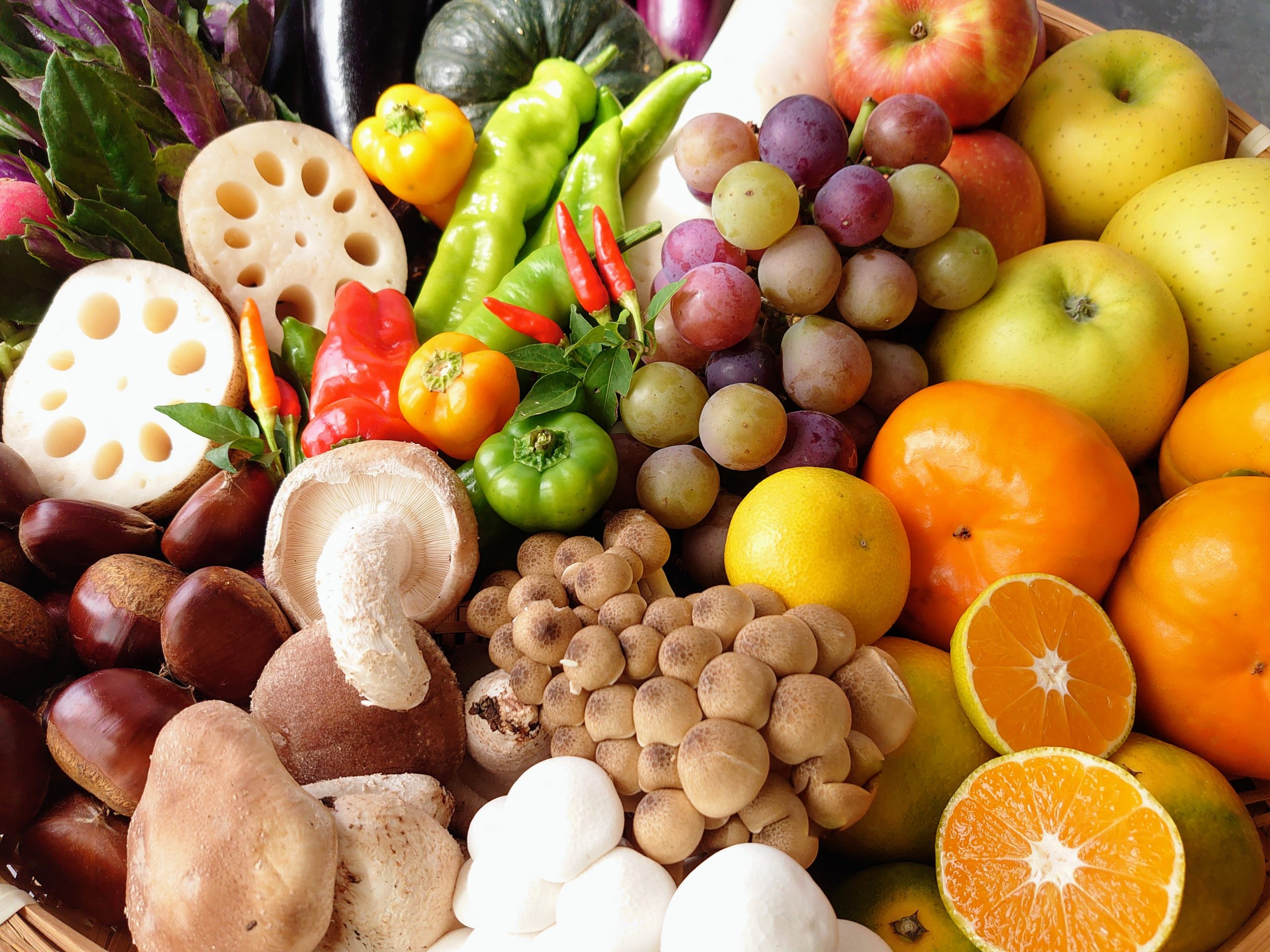 小田原市 「小田原市農業まつり」開催【11月19日(土)、20日(日)】