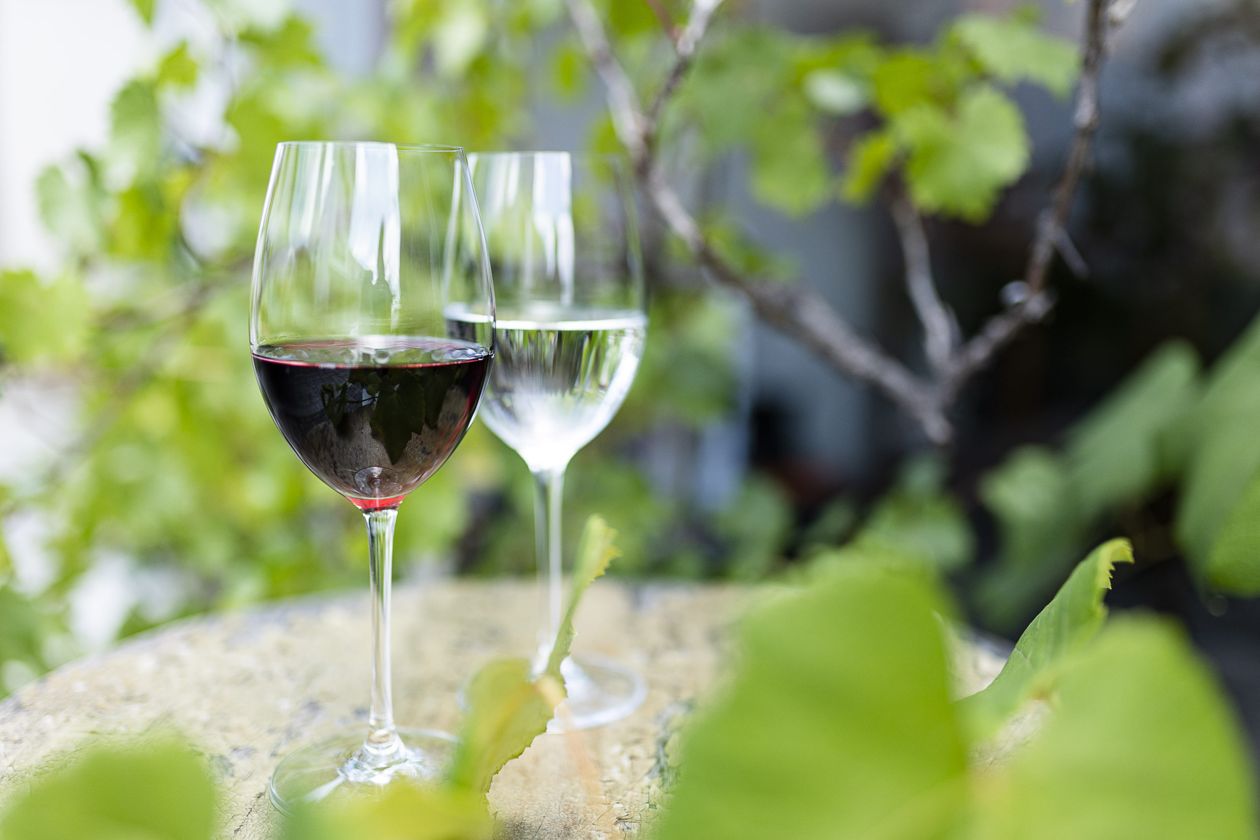 藤沢市 藤沢駅北口サンパール広場で「藤沢ワイン祭り 2022」を開催