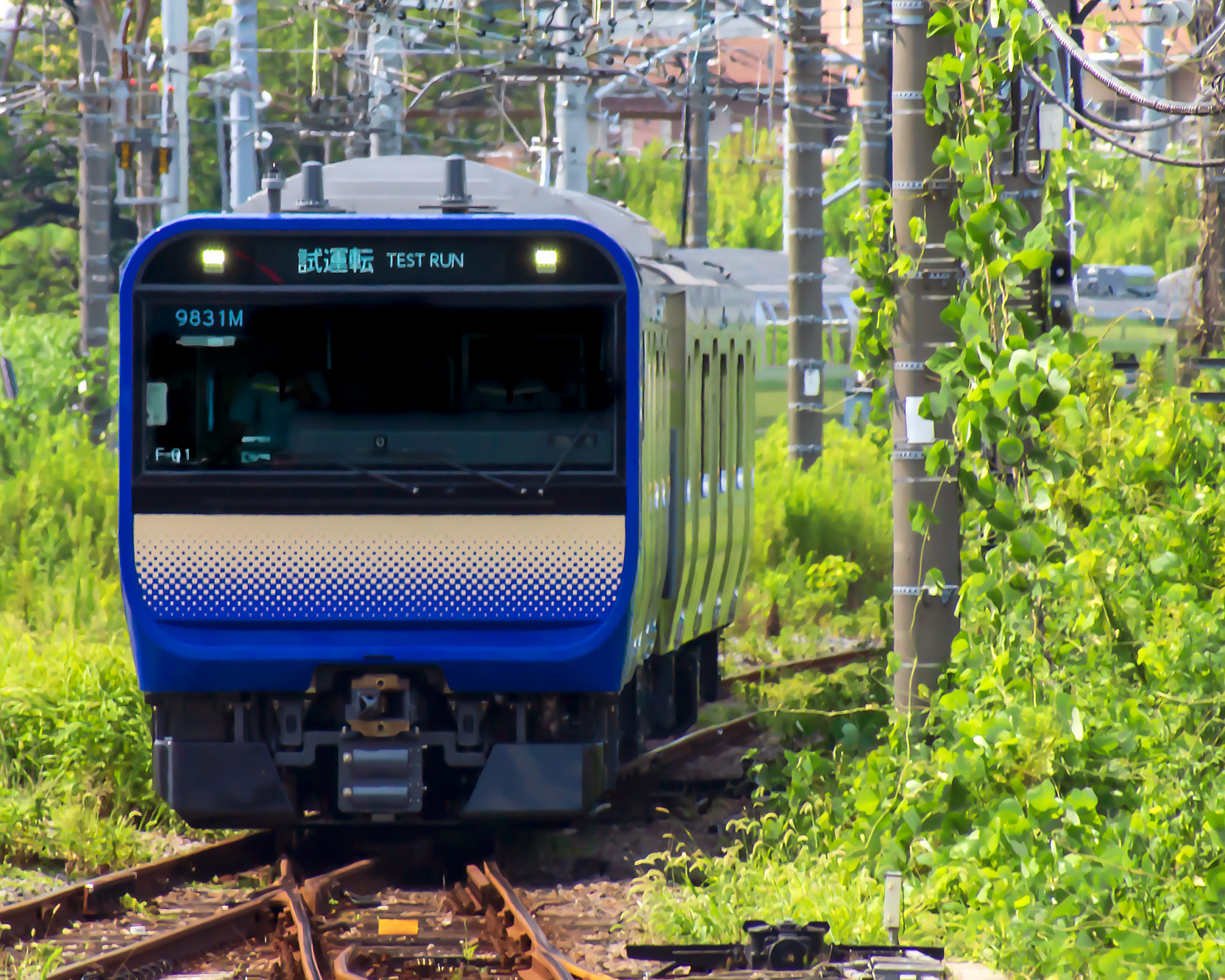 横須賀市 よこすかYYのりものフェスタ2022が3年ぶりに開催！【12月3日(土)、4日(日)】