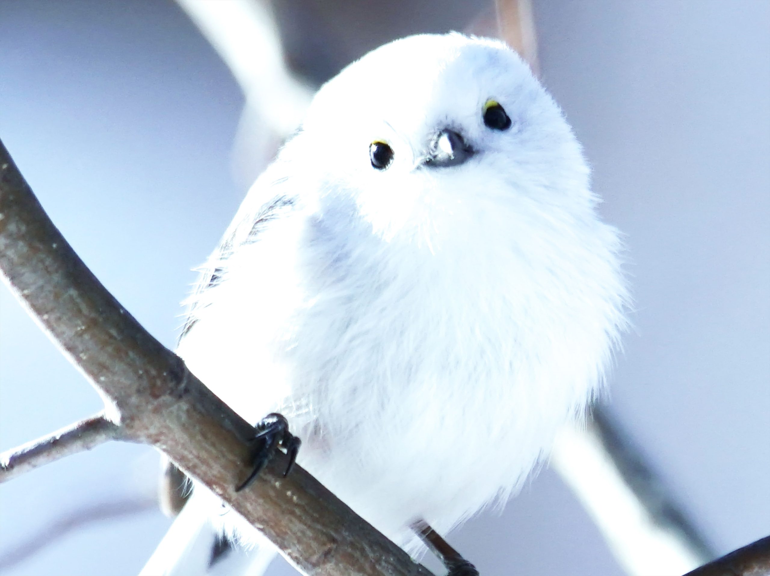 藤沢市 善行雑学大学「第283回 (12/18) 講座」のご案内