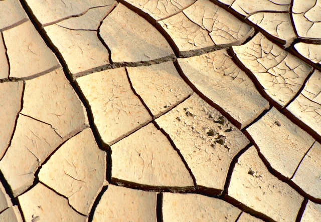 3/25(土)鎌倉市役所で「国際交流講座 みんなで考える難民問題」開催