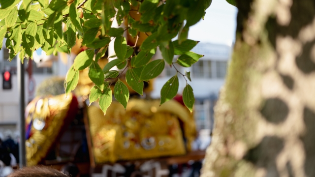 横須賀市｜4/16(日)神輿や山車のパレード「ふるさと衣笠まつり」