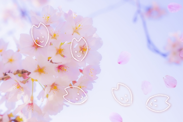 3/25(土)～4/8(土)「塚山公園さくら祭」が開催｜横須賀市