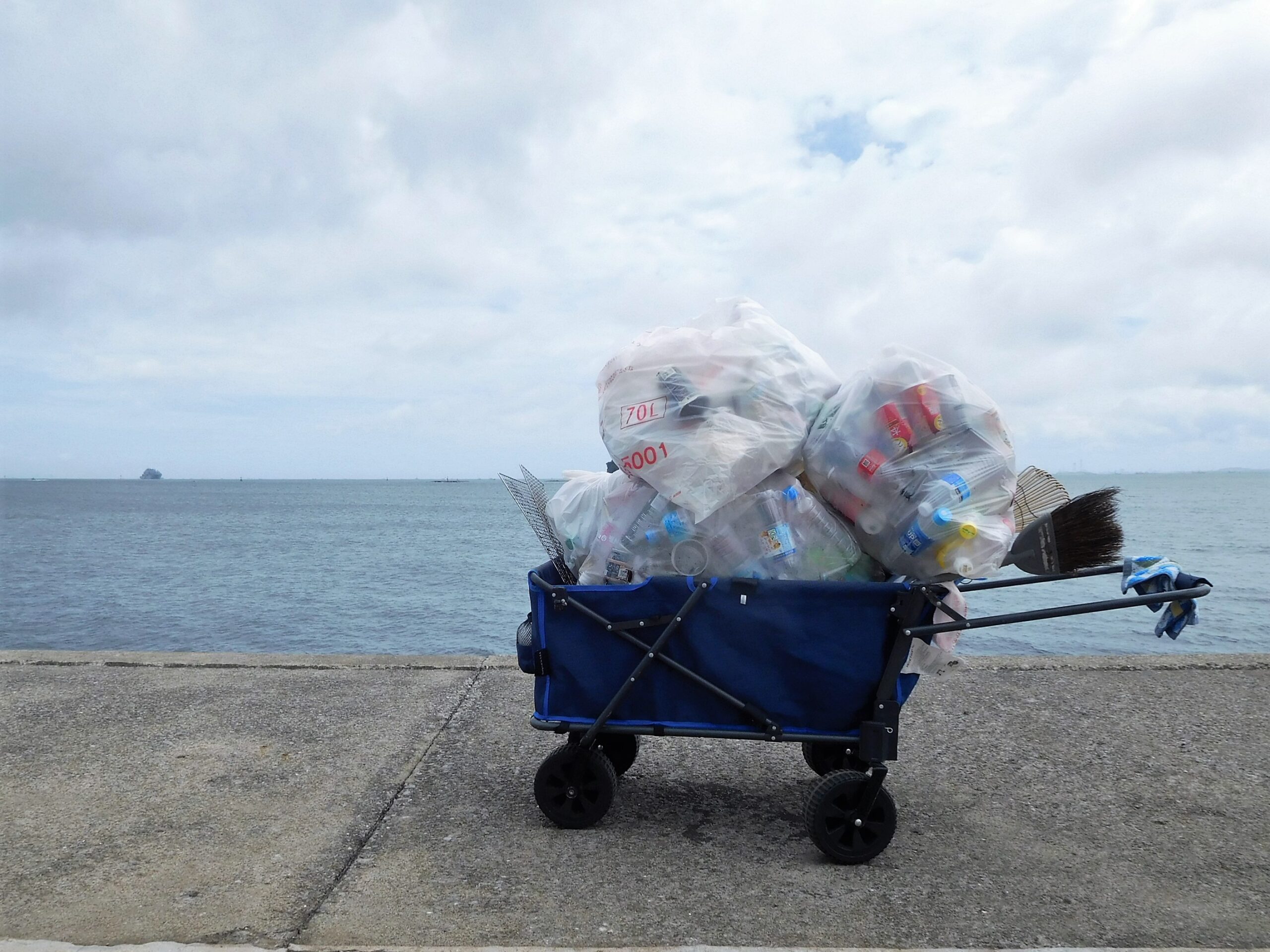 【葉山町】美しいまちと渚を守るビーチクリーン「クリーン葉山2023」