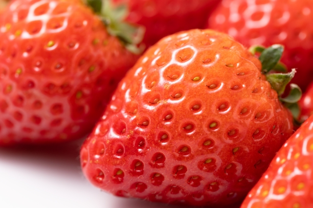 【藤沢市】マンスリー・イベント・プログラム 「苺一絵 by holiday」を開催します！