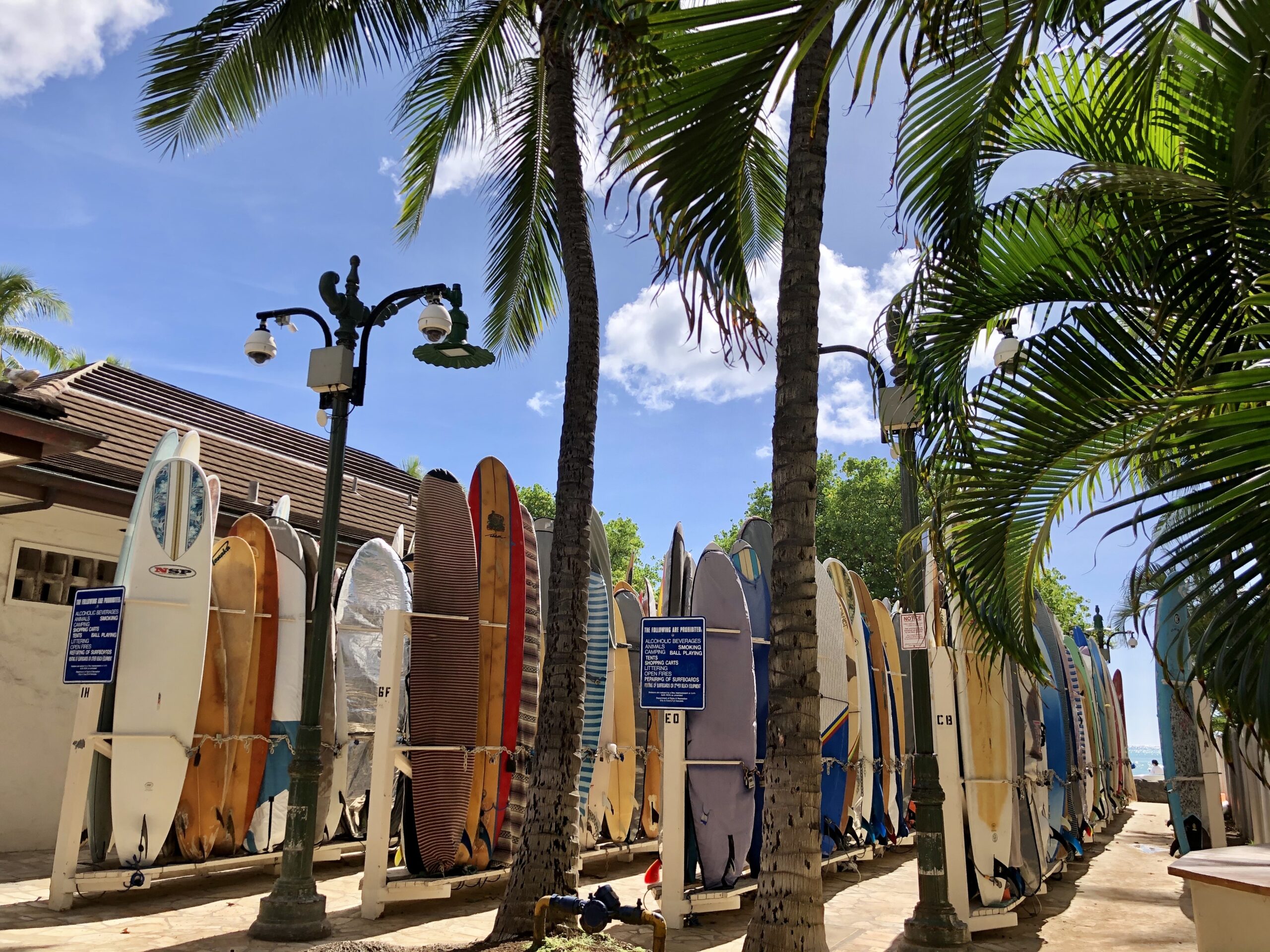 【藤沢市】サーフカルチャーを楽しむ！辻堂海浜公園「THE SURF FESTIVAL 2023」