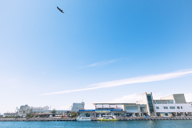 【三浦市】昭和の趣を残す港町で夏の夜を楽しむ。4年ぶりに「みうら夜市」が開催！