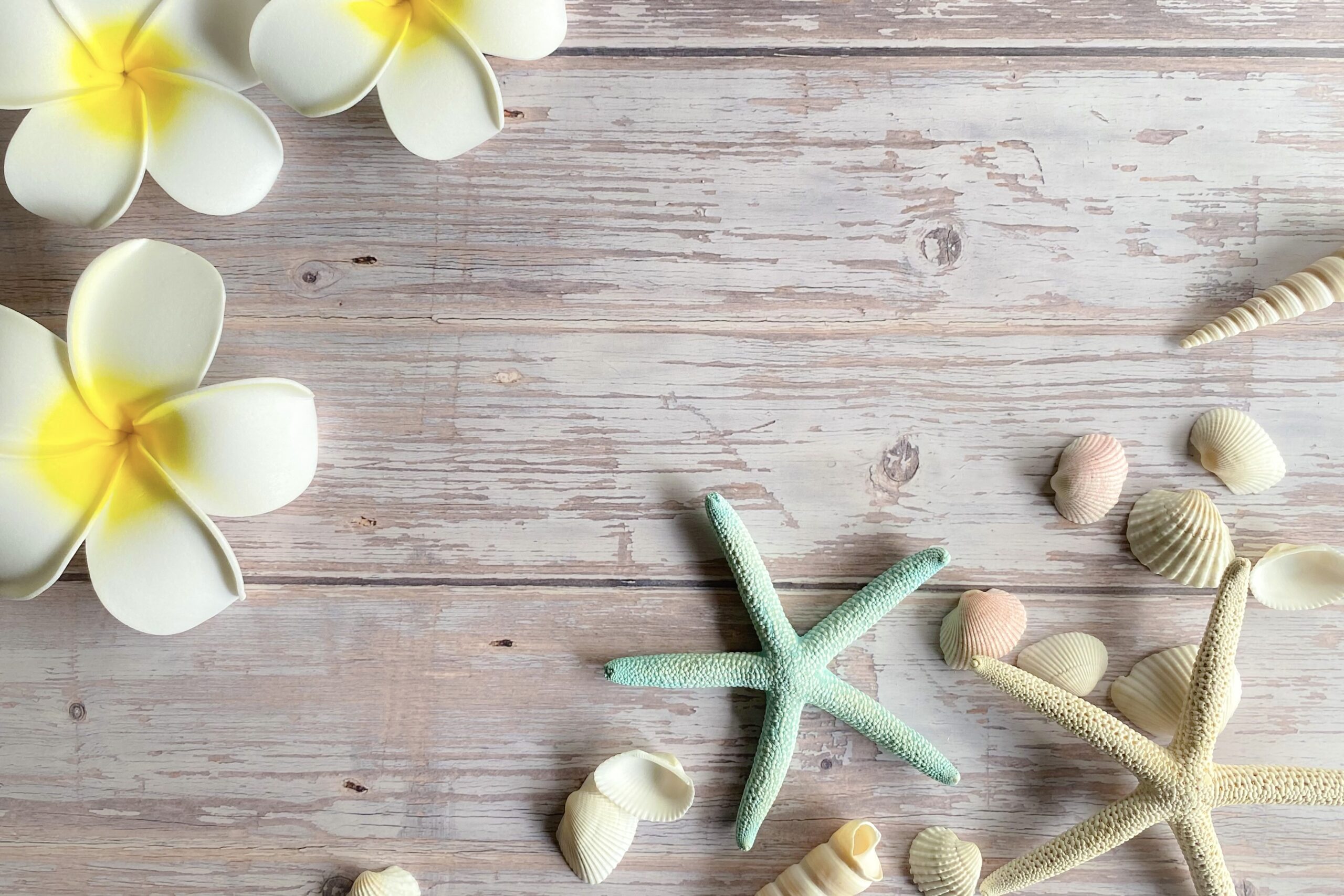 【湘南T-SITE】「HAWAIIAN MARKET 2023」が開催されます！