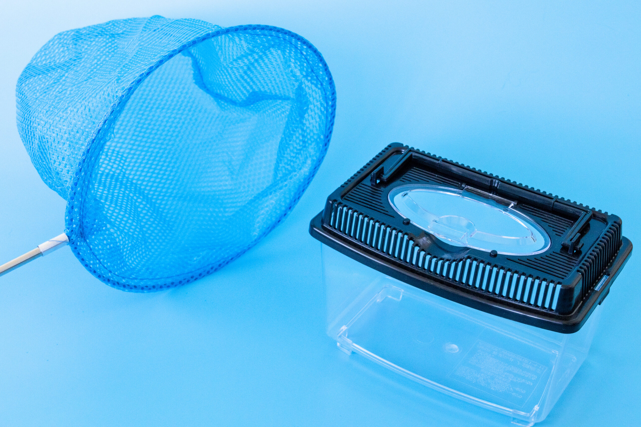 【大磯町】「大磯城山公園調査隊 ～あつまれ！アメリカザリガニ一斉捕獲大作戦！～」開催